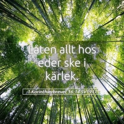 Picture 05 - 1 Korinthierbrevet 16:14 SV1917 - Låten allt hos eder ske i - Bible Verse Picture