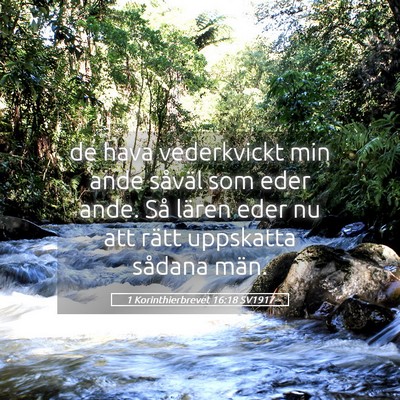 Picture 05 - 1 Korinthierbrevet 16:18 SV1917 - de hava vederkvickt min ande såväl som eder - Bible Verse Picture