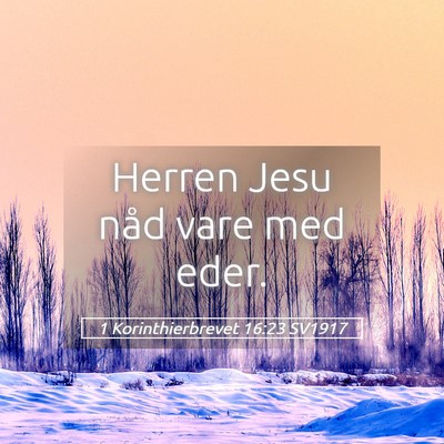 Picture 05 - 1 Korinthierbrevet 16:23 SV1917 - Herren Jesu nåd vare med - Bible Verse Picture