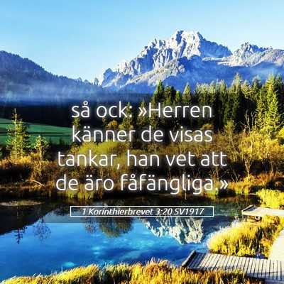 Picture 05 - 1 Korinthierbrevet 3:20 SV1917 - så ock: »Herren känner de visas tankar, han - Bible Verse Picture