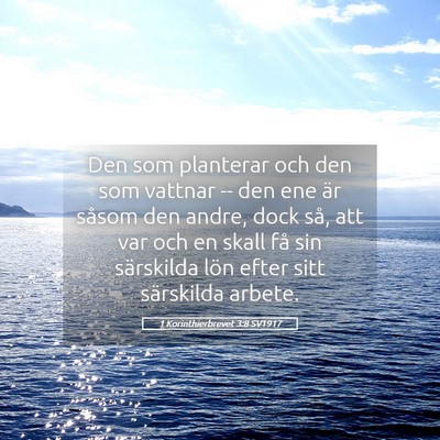 Picture 05 - 1 Korinthierbrevet 3:8 SV1917 - Den som planterar och den som vattnar -- den ene - Bible Verse Picture