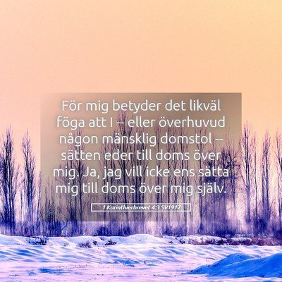 Picture 05 - 1 Korinthierbrevet 4:3 SV1917 - För mig betyder det likväl föga att I -- eller - Bible Verse Picture
