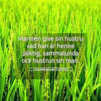 Picture 05 - 1 Korinthierbrevet 7:3 SV1917 - Mannen give sin hustru vad han är henne pliktig, - Bible Verse Picture