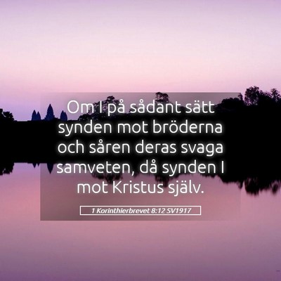 Picture 05 - 1 Korinthierbrevet 8:12 SV1917 - Om I på sådant sätt synden mot bröderna och - Bible Verse Picture