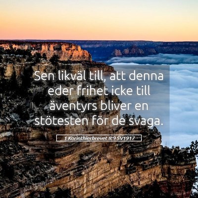 Picture 05 - 1 Korinthierbrevet 8:9 SV1917 - Sen likväl till, att denna eder frihet icke till - Bible Verse Picture