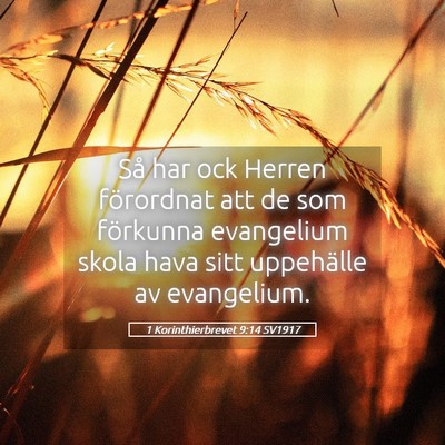 Picture 05 - 1 Korinthierbrevet 9:14 SV1917 - Så har ock Herren förordnat att de som - Bible Verse Picture