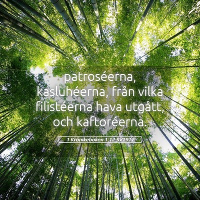 Picture 05 - 1 Krönikeboken 1:12 SV1917 - patroséerna, kasluhéerna, från vilka - Bible Verse Picture