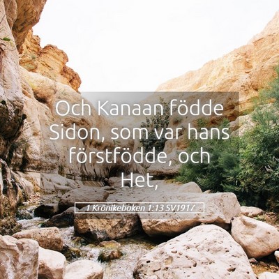 Picture 05 - 1 Krönikeboken 1:13 SV1917 - Och Kanaan födde Sidon, som var hans - Bible Verse Picture