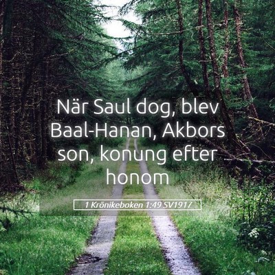 Picture 05 - 1 Krönikeboken 1:49 SV1917 - När Saul dog, blev Baal-Hanan, Akbors son, - Bible Verse Picture