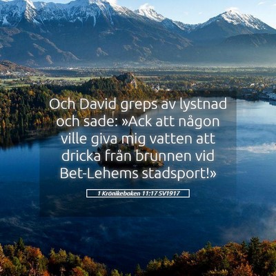 Picture 05 - 1 Krönikeboken 11:17 SV1917 - Och David greps av lystnad och sade: »Ack att - Bible Verse Picture