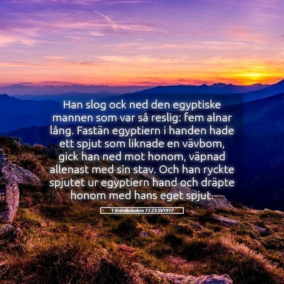 Picture 05 - 1 Krönikeboken 11:23 SV1917 - Han slog ock ned den egyptiske mannen som var så - Bible Verse Picture