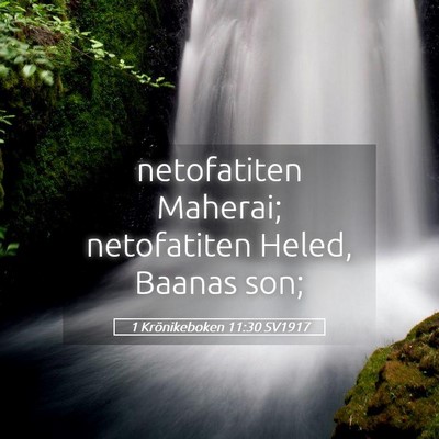 Picture 05 - 1 Krönikeboken 11:30 SV1917 - netofatiten Maherai; netofatiten Heled, Baanas - Bible Verse Picture