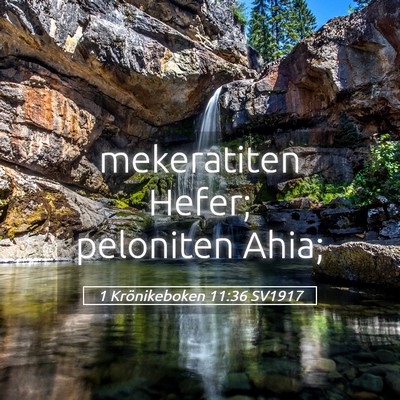 Picture 05 - 1 Krönikeboken 11:36 SV1917 - mekeratiten Hefer; peloniten - Bible Verse Picture