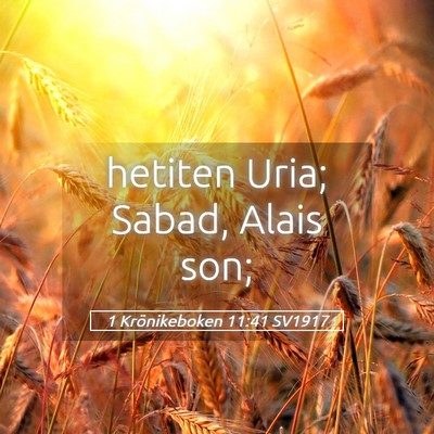 Picture 05 - 1 Krönikeboken 11:41 SV1917 - hetiten Uria; Sabad, Alais - Bible Verse Picture