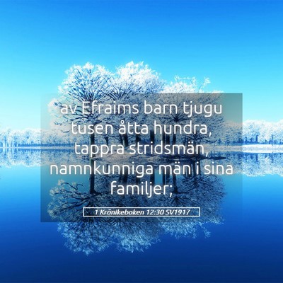 Picture 05 - 1 Krönikeboken 12:30 SV1917 - av Efraims barn tjugu tusen åtta hundra, tappra - Bible Verse Picture