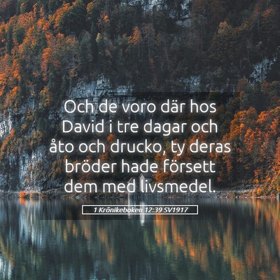 Picture 05 - 1 Krönikeboken 12:39 SV1917 - Och de voro där hos David i tre dagar och åto - Bible Verse Picture