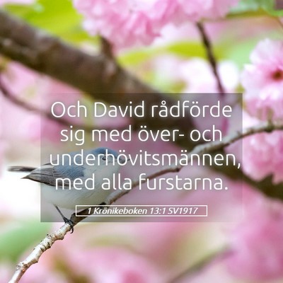 Picture 05 - 1 Krönikeboken 13:1 SV1917 - Och David rådförde sig med över- och - Bible Verse Picture