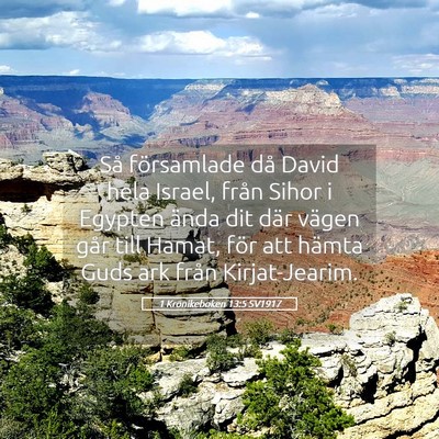 Picture 05 - 1 Krönikeboken 13:5 SV1917 - Så församlade då David hela Israel, från - Bible Verse Picture
