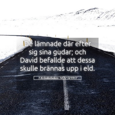 Picture 05 - 1 Krönikeboken 14:12 SV1917 - De lämnade där efter sig sina gudar; och David - Bible Verse Picture