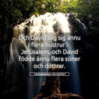 Picture 05 - 1 Krönikeboken 14:3 SV1917 - Och David tog sig ännu flera hustrur i - Bible Verse Picture