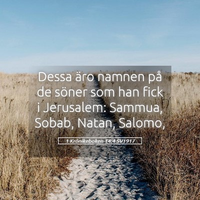 Picture 05 - 1 Krönikeboken 14:4 SV1917 - Dessa äro namnen på de söner som han fick i - Bible Verse Picture