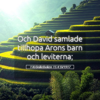 Picture 05 - 1 Krönikeboken 15:4 SV1917 - Och David samlade tillhopa Arons barn och - Bible Verse Picture