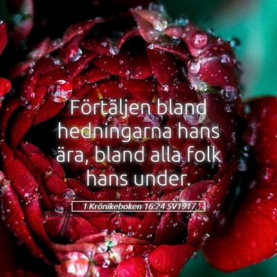 Picture 05 - 1 Krönikeboken 16:24 SV1917 - Förtäljen bland hedningarna hans ära, bland - Bible Verse Picture