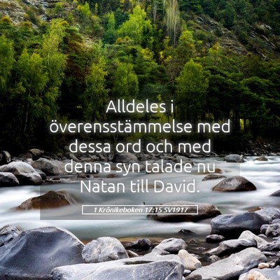 Picture 05 - 1 Krönikeboken 17:15 SV1917 - Alldeles i överensstämmelse med dessa ord och - Bible Verse Picture