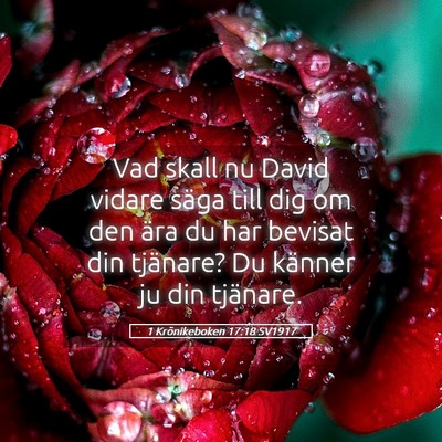 Picture 05 - 1 Krönikeboken 17:18 SV1917 - Vad skall nu David vidare säga till dig om den - Bible Verse Picture
