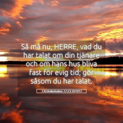 Picture 05 - 1 Krönikeboken 17:23 SV1917 - Så må nu, HERRE, vad du har talat om din - Bible Verse Picture