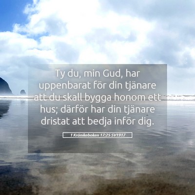 Picture 05 - 1 Krönikeboken 17:25 SV1917 - Ty du, min Gud, har uppenbarat för din tjänare - Bible Verse Picture