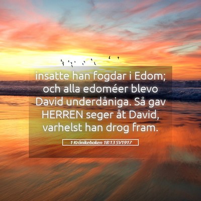 Picture 05 - 1 Krönikeboken 18:13 SV1917 - insatte han fogdar i Edom; och alla edoméer - Bible Verse Picture