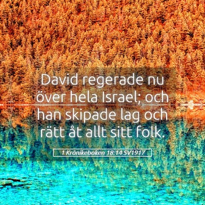 Picture 05 - 1 Krönikeboken 18:14 SV1917 - David regerade nu över hela Israel; och han - Bible Verse Picture