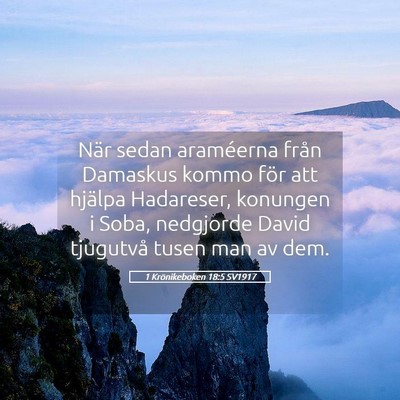 Picture 05 - 1 Krönikeboken 18:5 SV1917 - När sedan araméerna från Damaskus kommo för - Bible Verse Picture