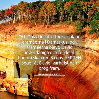Picture 05 - 1 Krönikeboken 18:6 SV1917 - Och David insatte fogdar bland araméerna i - Bible Verse Picture