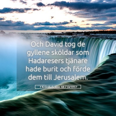 Picture 05 - 1 Krönikeboken 18:7 SV1917 - Och David tog de gyllene sköldar som Hadaresers - Bible Verse Picture