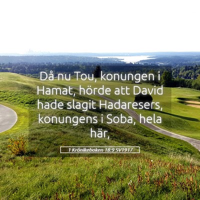 Picture 05 - 1 Krönikeboken 18:9 SV1917 - Då nu Tou, konungen i Hamat, hörde att David - Bible Verse Picture