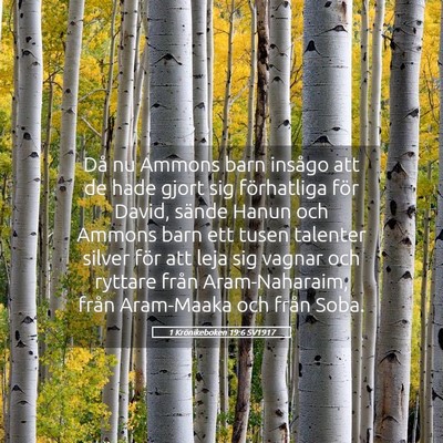 Picture 05 - 1 Krönikeboken 19:6 SV1917 - Då nu Ammons barn insågo att de hade gjort sig - Bible Verse Picture