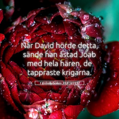 Picture 05 - 1 Krönikeboken 19:8 SV1917 - När David hörde detta, sände han åstad Joab - Bible Verse Picture