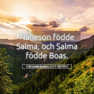 Picture 05 - 1 Krönikeboken 2:11 SV1917 - Naheson födde Salma, och Salma födde - Bible Verse Picture