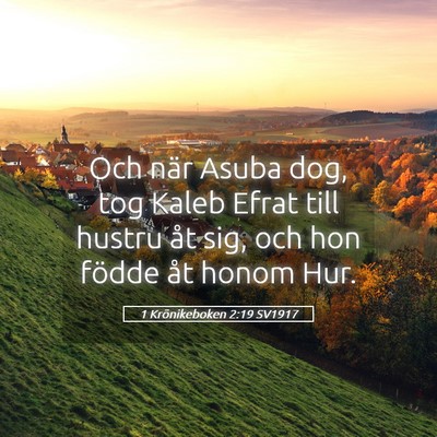 Picture 05 - 1 Krönikeboken 2:19 SV1917 - Och när Asuba dog, tog Kaleb Efrat till hustru - Bible Verse Picture