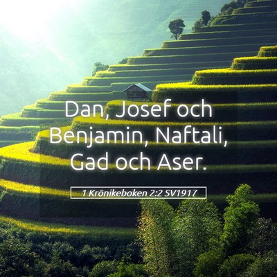 Picture 05 - 1 Krönikeboken 2:2 SV1917 - Dan, Josef och Benjamin, Naftali, Gad och - Bible Verse Picture