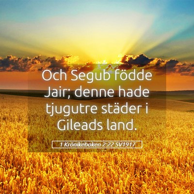 Picture 05 - 1 Krönikeboken 2:22 SV1917 - Och Segub födde Jair; denne hade tjugutre - Bible Verse Picture