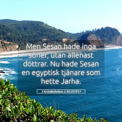Picture 05 - 1 Krönikeboken 2:34 SV1917 - Men Sesan hade inga söner, utan allenast - Bible Verse Picture