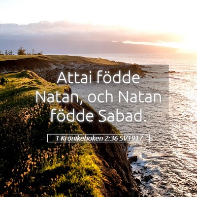 Picture 05 - 1 Krönikeboken 2:36 SV1917 - Attai födde Natan, och Natan födde - Bible Verse Picture