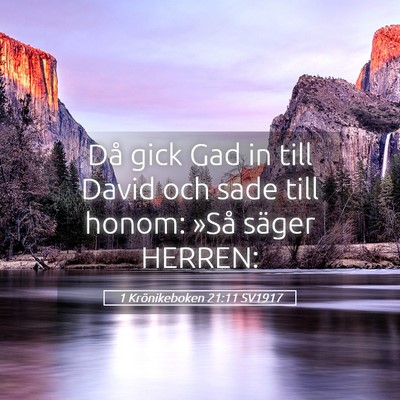 Picture 05 - 1 Krönikeboken 21:11 SV1917 - Då gick Gad in till David och sade till honom: - Bible Verse Picture