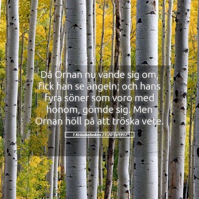 Picture 05 - 1 Krönikeboken 21:20 SV1917 - Då Ornan nu vände sig om, fick han se ängeln; - Bible Verse Picture