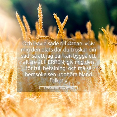Picture 05 - 1 Krönikeboken 21:22 SV1917 - Och David sade till Ornan: »Giv mig den plats - Bible Verse Picture