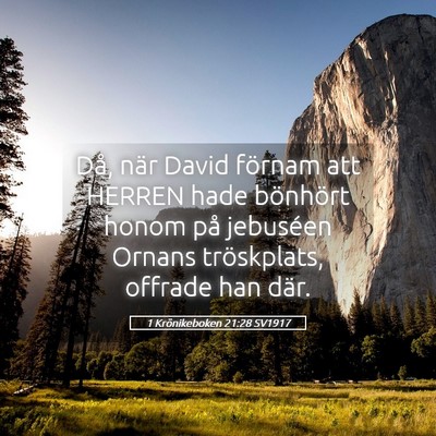 Picture 05 - 1 Krönikeboken 21:28 SV1917 - Då, när David förnam att HERREN hade bönhört - Bible Verse Picture