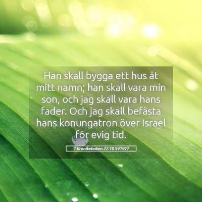 Picture 05 - 1 Krönikeboken 22:10 SV1917 - Han skall bygga ett hus åt mitt namn; han skall - Bible Verse Picture